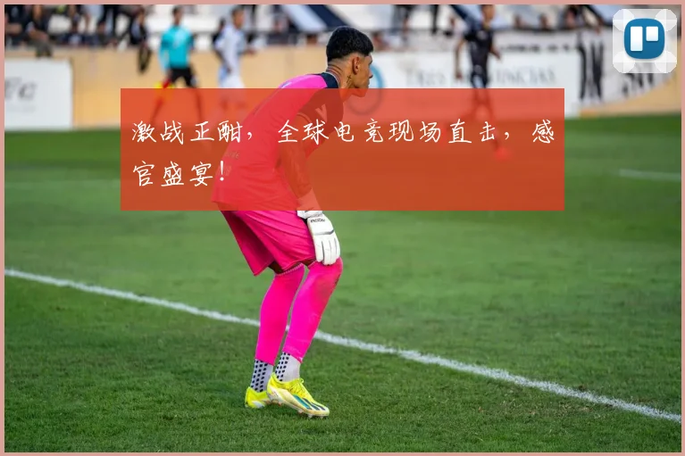 激战正酣，全球电竞现场直击，感官盛宴！