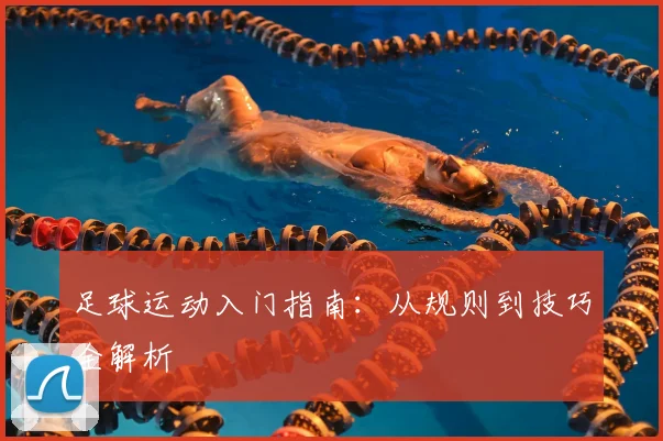 足球运动入门指南：从规则到技巧全解析
