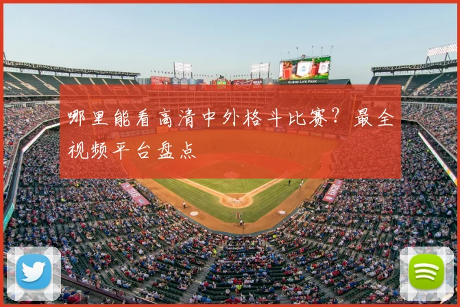 哪里能看高清中外格斗比赛?最全视频平台盘点