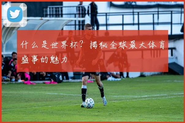 什么是世界杯？揭秘全球最大体育盛事的魅力