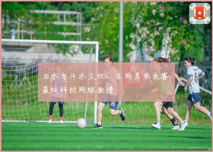 泪水与汗水交织，法网男单决赛，最纯粹的网球激情
